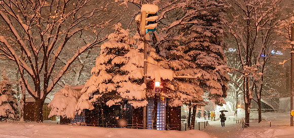 Snow Scene