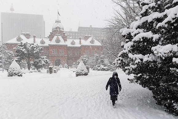 Sapporo Snow -2