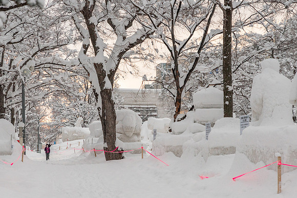 Ice Sculptures After Storm -2