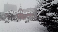 Sapporo Snow -1