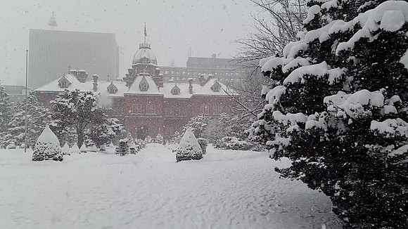 Sapporo Snow -1