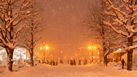 Snowy Street Scene