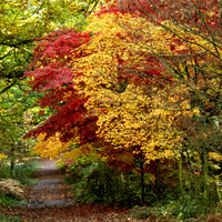 Queenswood-1