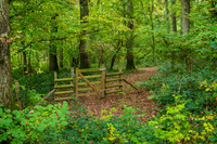 Credenhill -3