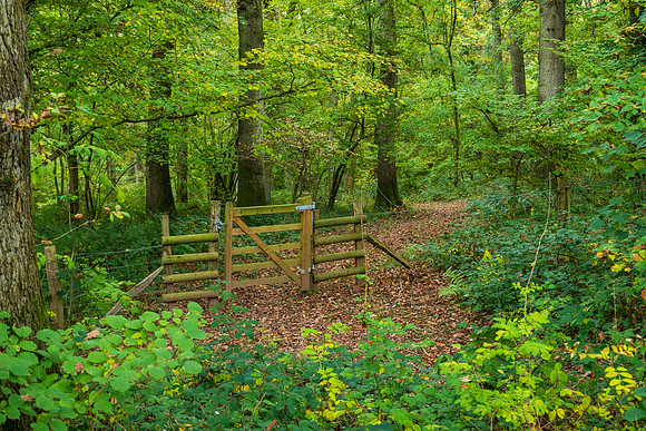 Credenhill -3