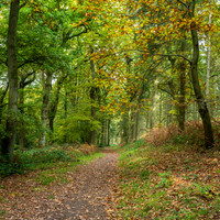 Credenhill -5