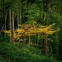 Credenhill -1
