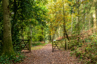 Credenhill -4