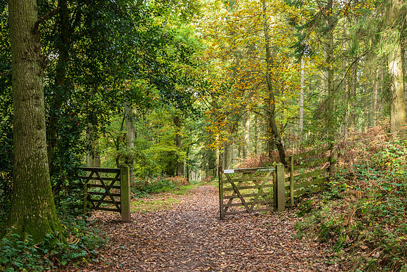 Credenhill -4