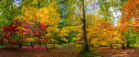 Queenswood -4