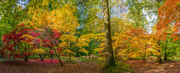 Queenswood -4