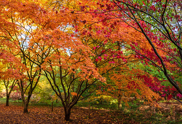 Queenswood-5