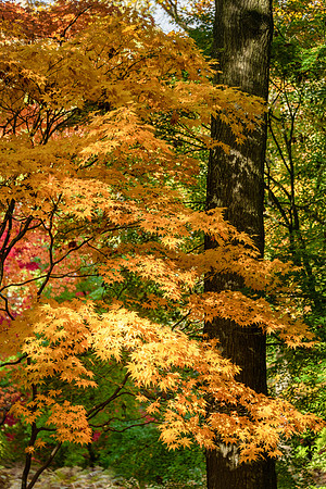 Queenswood-6