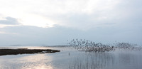 Wader Spectacular -10