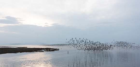 Wader Spectacular -10