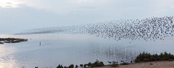 Wader Spectacular -11