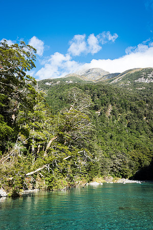 Dart River Glenorchy - 3