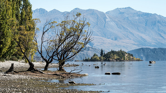 Lake Wanaka