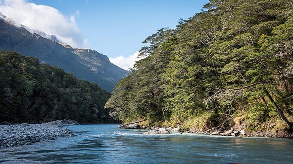 Dart River Glenorchy - 4