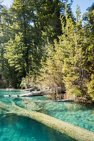 Dart River Glenorchy - 2
