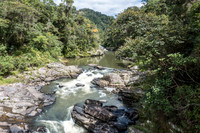 Ranomafana N.P -3