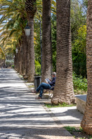 Ibleo Garden -1