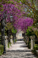 Ibleo Garden -3