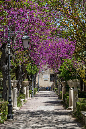 Ibleo Garden -3