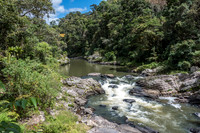 Ranomafana N.P -2