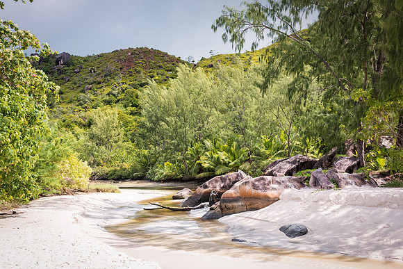 Anse Lazio -7