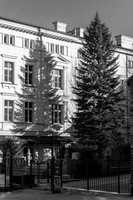 Poznan Building and Tree