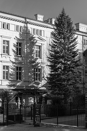 Poznan Building and Tree