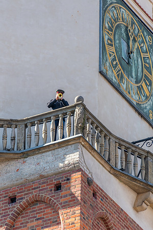 Poznan Town Hall Bugler -1