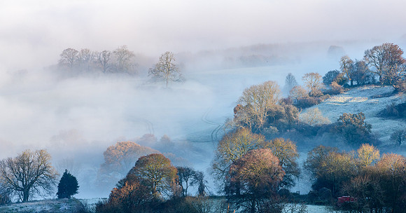 Fog-9