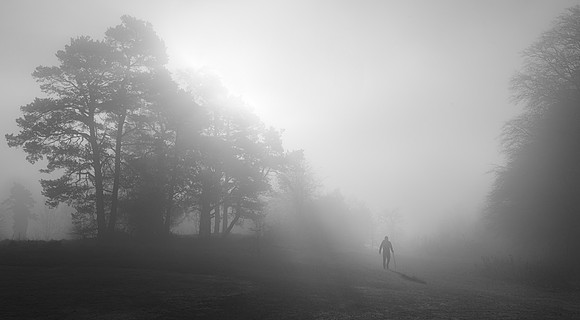 Shadow in the Mist-1