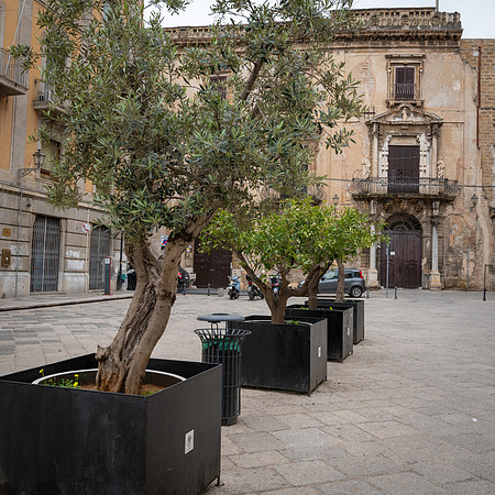Piazza Bologni -1