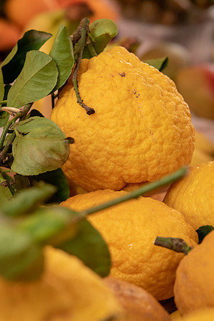 Capo Market -4