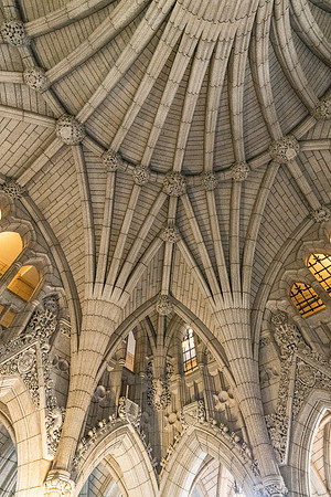 Vaulted Ceiling