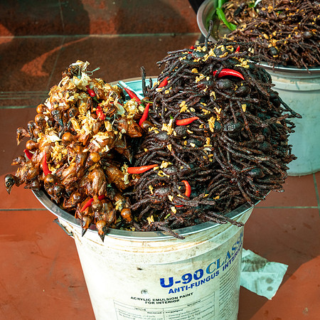 Spider Market at Skun -4