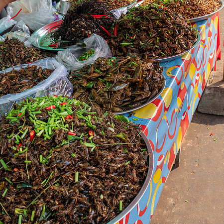 Spider Market at Skun -8