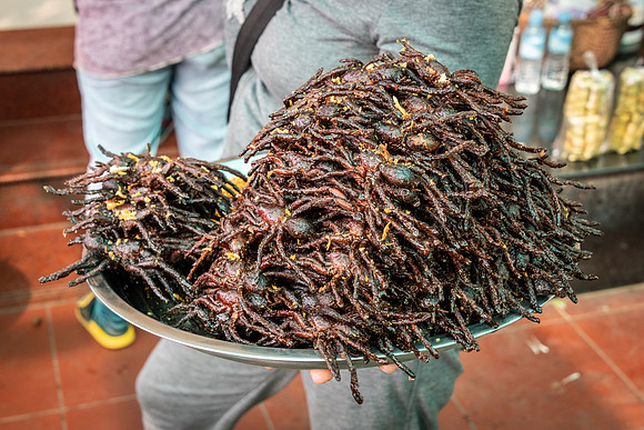 Spider Market at Skun -2