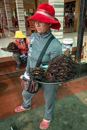 Spider Market at Skun -3