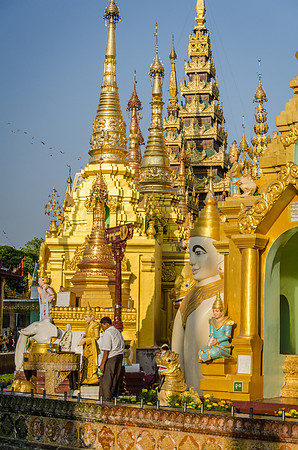 Yangon - Shwedagon pagoda -9