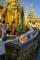 Yangon - Shwedagon pagoda -4