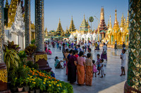 Yangon - Shwedagon pagoda -7