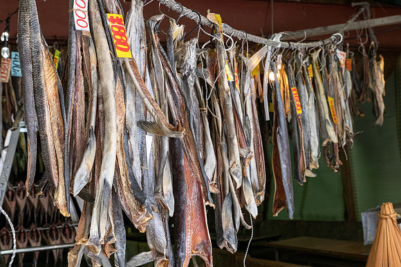 Otaru Dried Fish -1