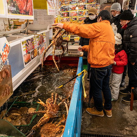 Otaru Spider Crabs