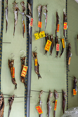 Otaru Dried Fish -2