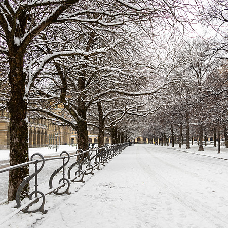 Munich Hofgarten -1