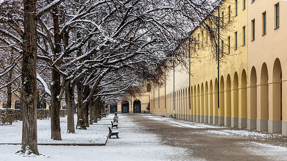 Munich Hofgarten -6